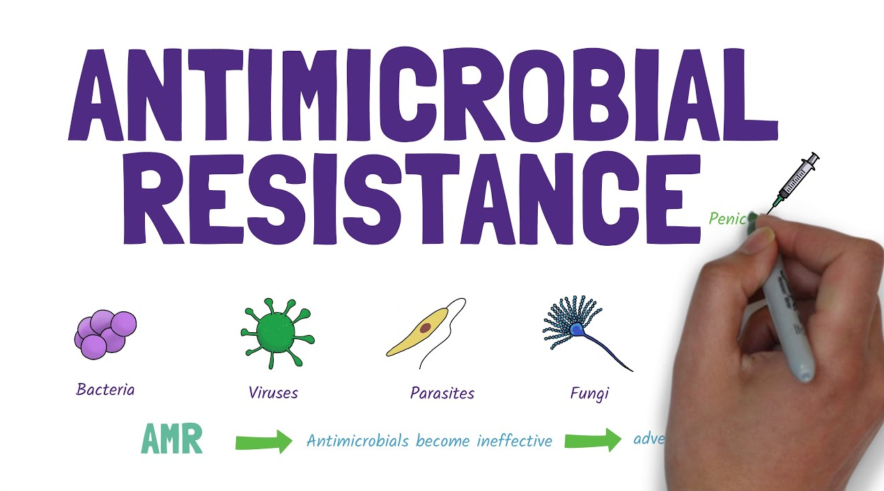 Anti Microbial Resistance (AMR)
