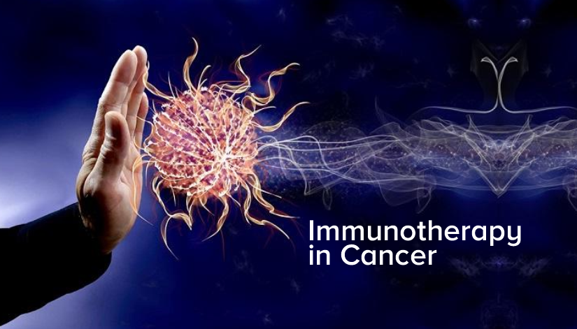 The Role of Immunotherapy in Lung Cancer Treatment - Rising Kashmir